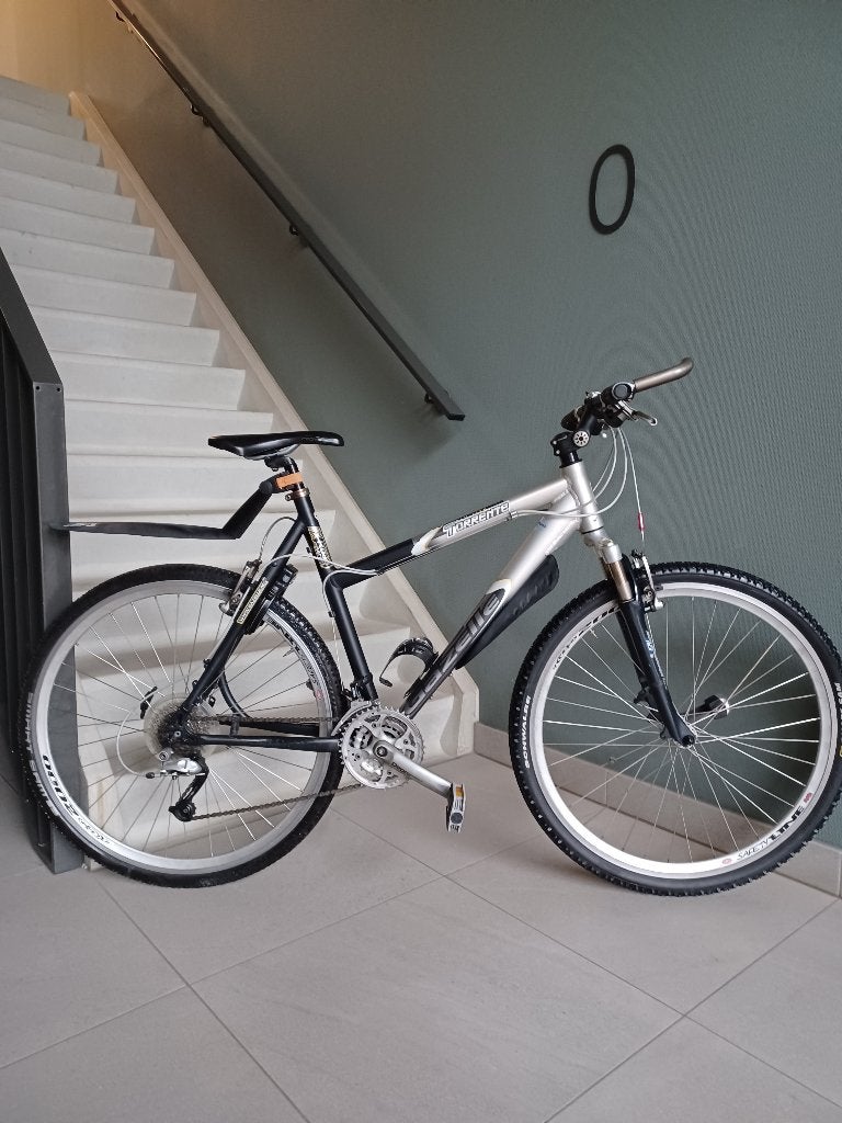 mooie Gazelle Torrente sportfiets damesfiets tourfiets, Fietsen en Brommers, Fietsen | Dames | Sportfietsen en Toerfietsen, Ophalen