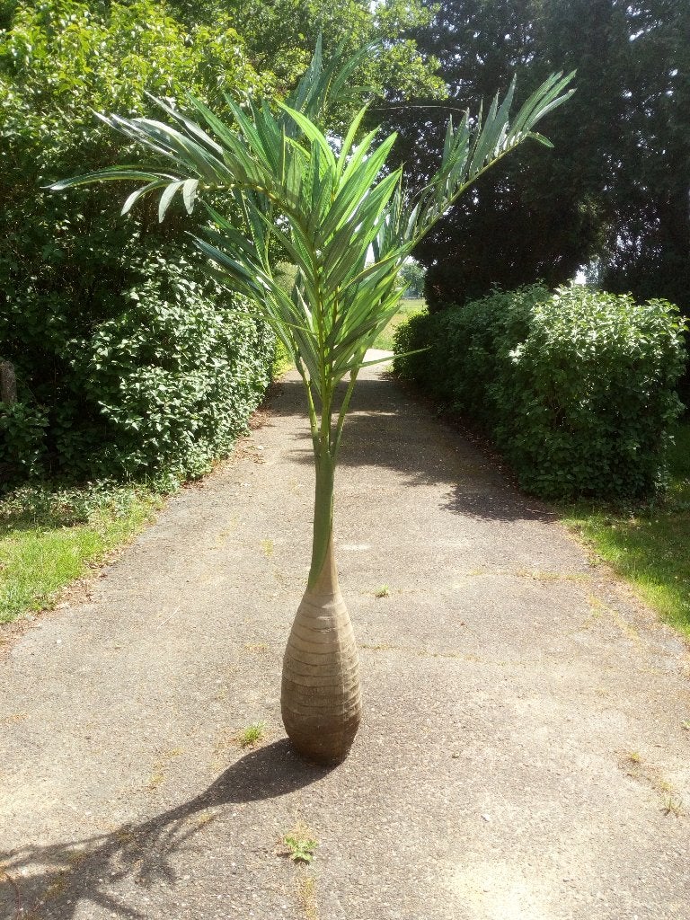 kunststof plant, Ophalen, Volledige schaduw, 100 tot 150 cm, Overige soorten