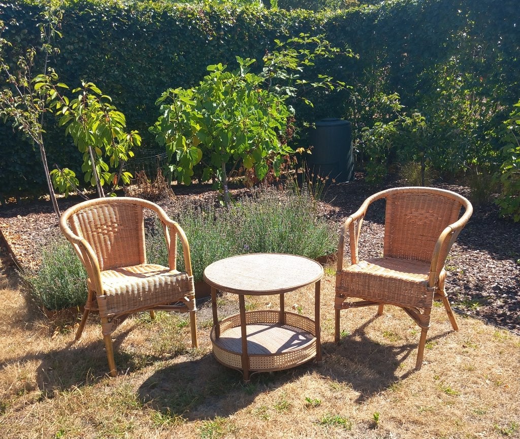 2 rieten stoelen + tafeltje, Huis en Inrichting, Ophalen, Gebruikt, Twee, Overige kleuren