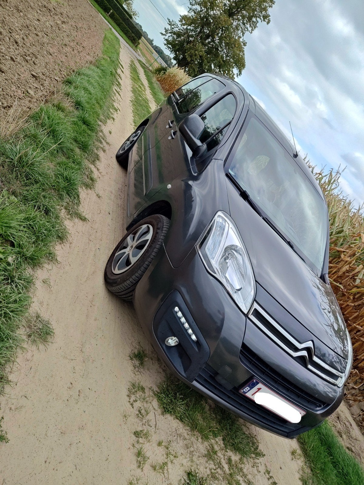 Citroën berlingo, Auto's, Voorwielaandrijving, Stof, Euro 6, Elektrische ramen