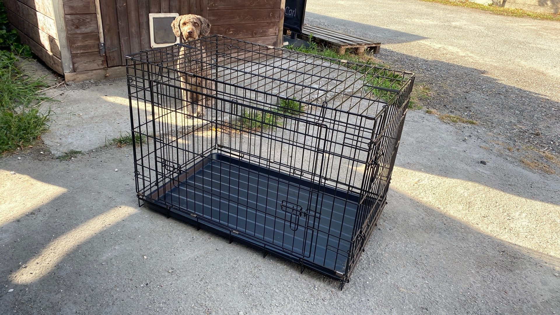 Bench voor middelgrote hond., Dieren en Toebehoren, Ophalen, Gebruikt, Minder dan 65 cm, Hondenhok