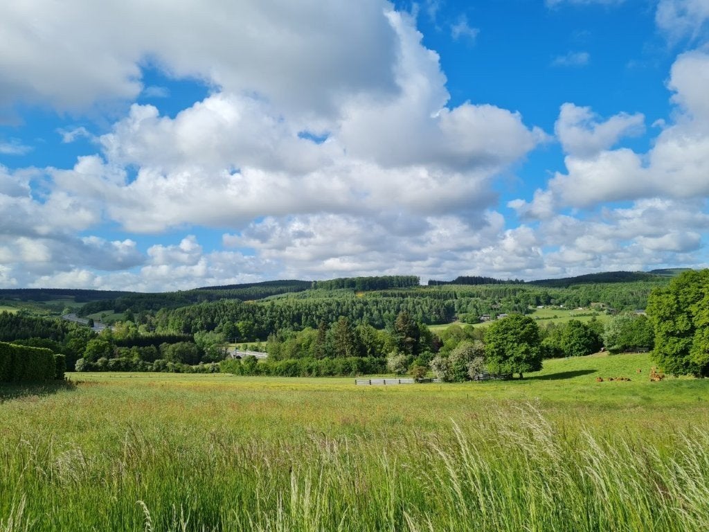 Tenneville - Rég. Ourthe : terrain à batir, 14a 79ca., Tenneville, 1000 à 1500 m²