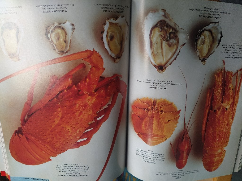 boek: ingrediënten/Loukie Werle & Jill Cox, Boeken, Gezondheid, Dieet en Voeding, Ophalen of Verzenden, Gelezen, Overige typen