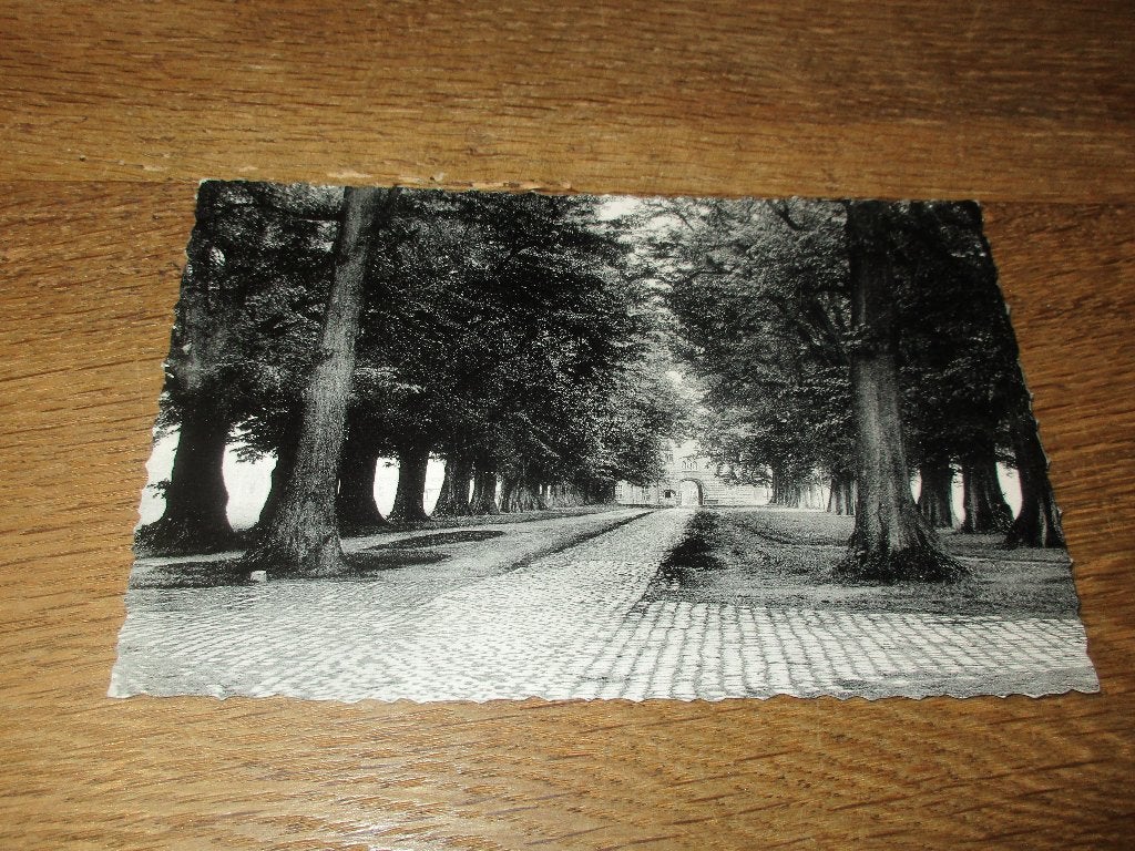 POSTKAART TONGERLOO NORBERTIJNER ABDIJ LINDELAAN 1957, Envoi, 1940 à 1960, Affranchie, Anvers