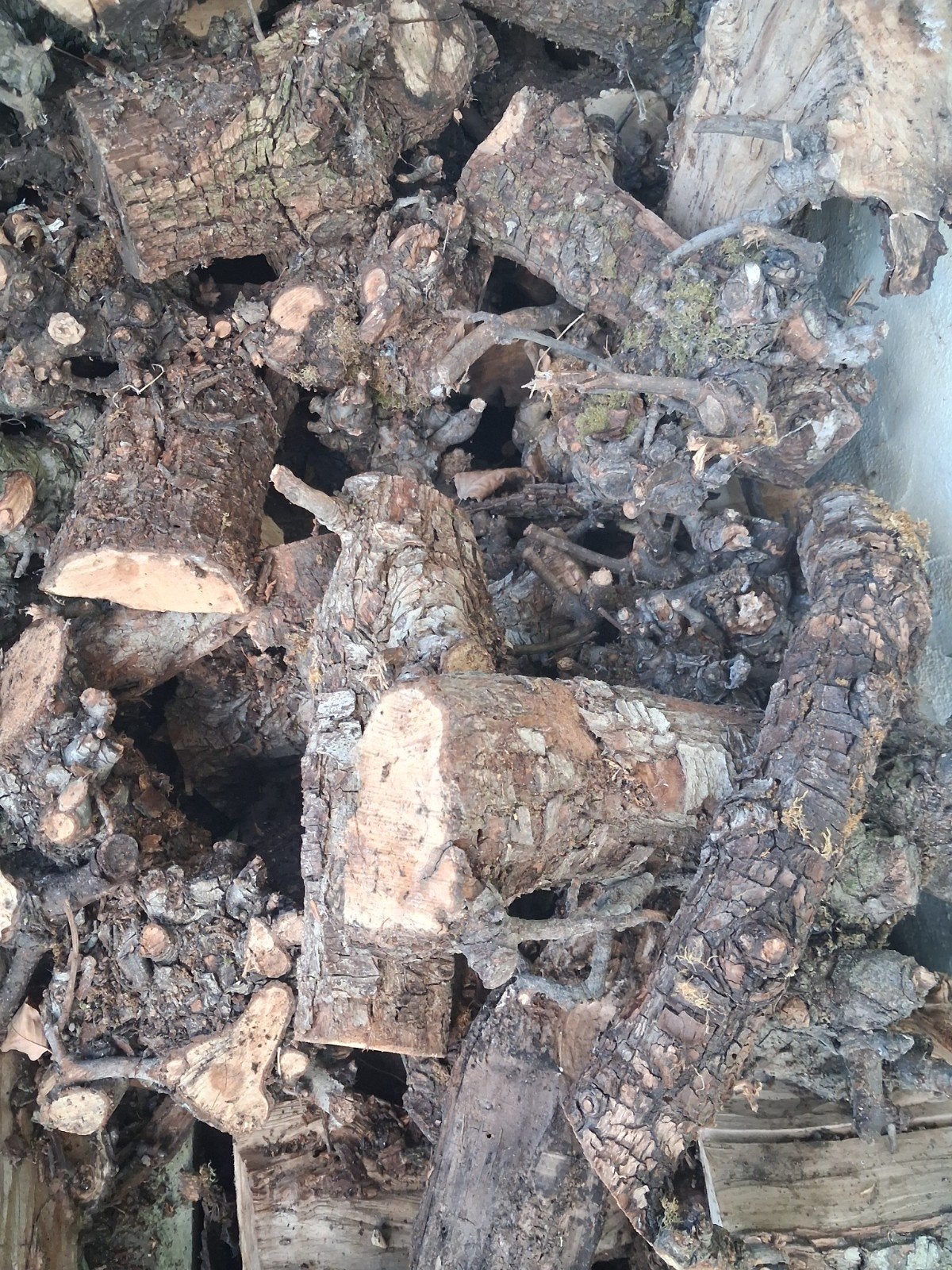 brandhout, Tuin en Terras, Ophalen