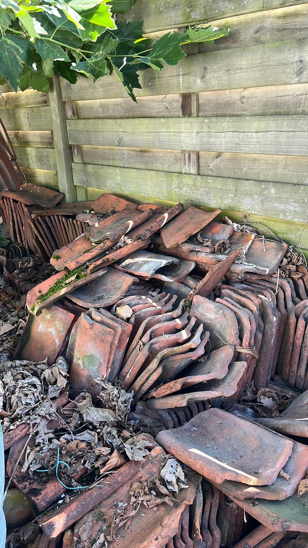 Boomse pannen., Ophalen, Gebruikt, Steen of Klei, 15 m² of meer
