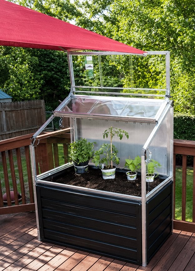 kweekbak / miniserre - palram plant in compact nog in doos, Tuin en Terras, Overige materialen, 100 cm of meer, Nieuw, Ophalen of Verzenden