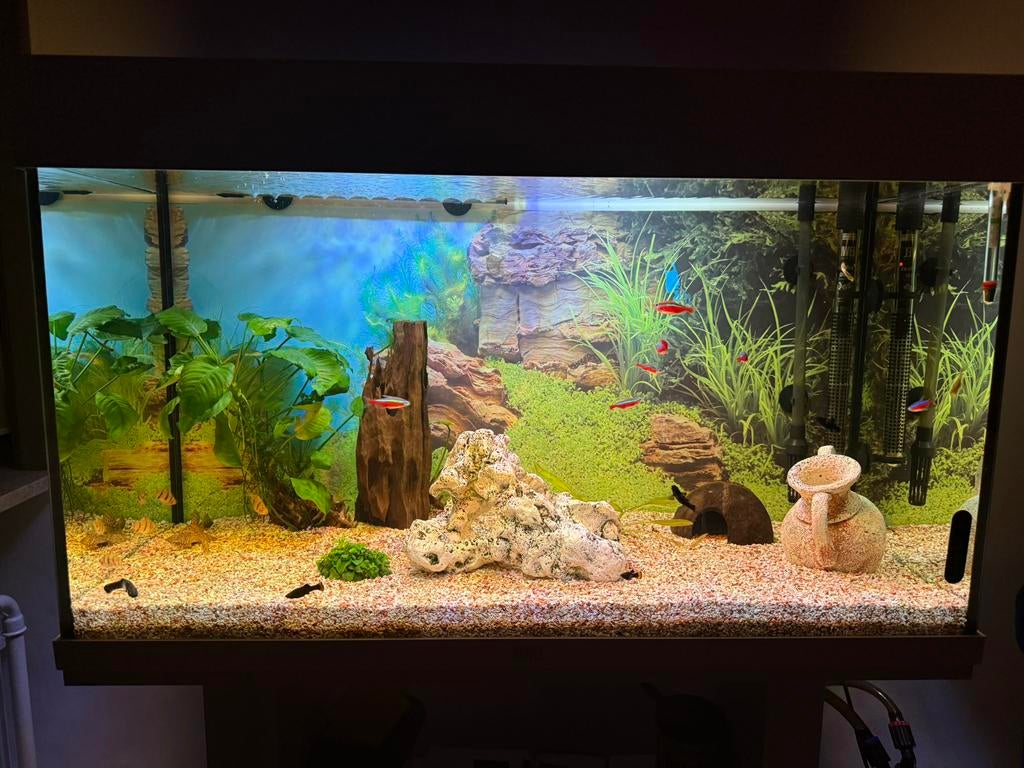 Aquarium Jewel 120l avec armoire et tout, Animaux & Accessoires, Poissons | Aquariums & Accessoires, Comme neuf, Enlèvement