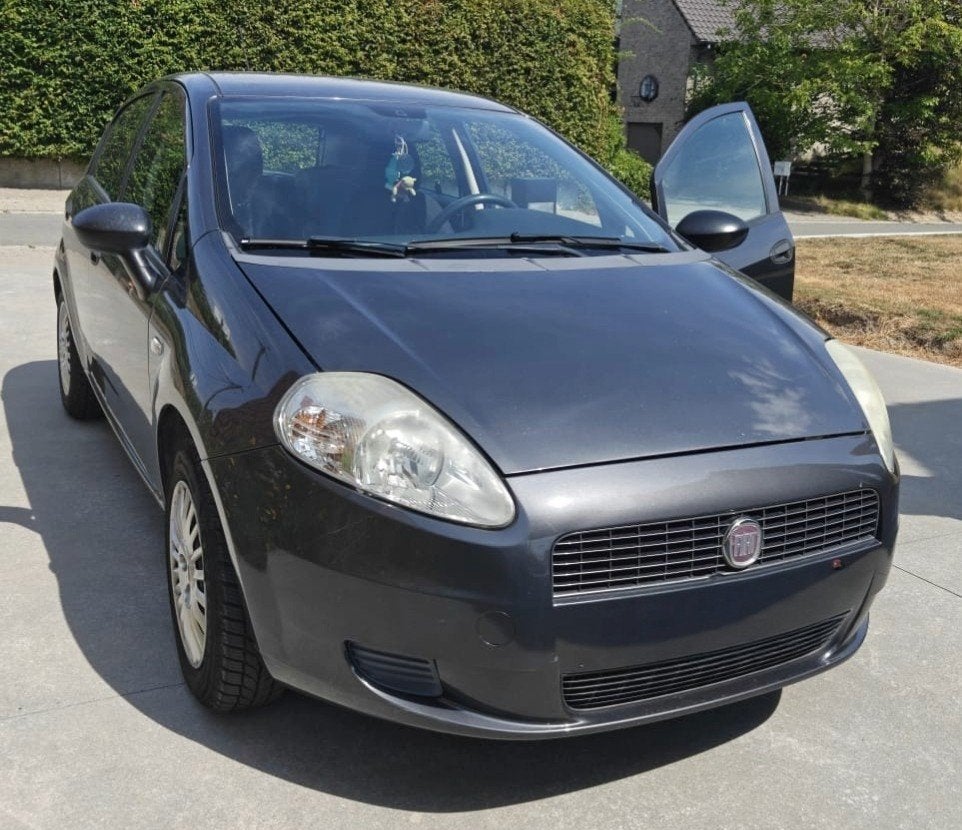 Fiat Punto, Autos, Achat, Boîte manuelle, Autres couleurs, 5 portes