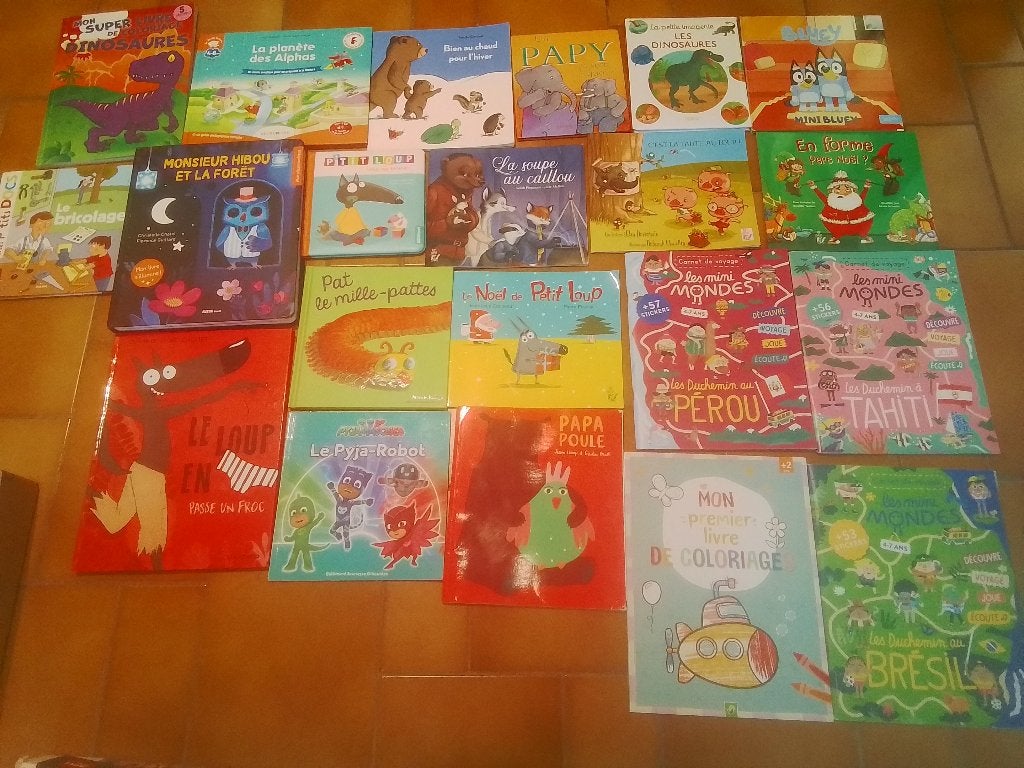 Lot de livres pour enfants le tout pour 10 euros, Livres, Enlèvement, Comme neuf