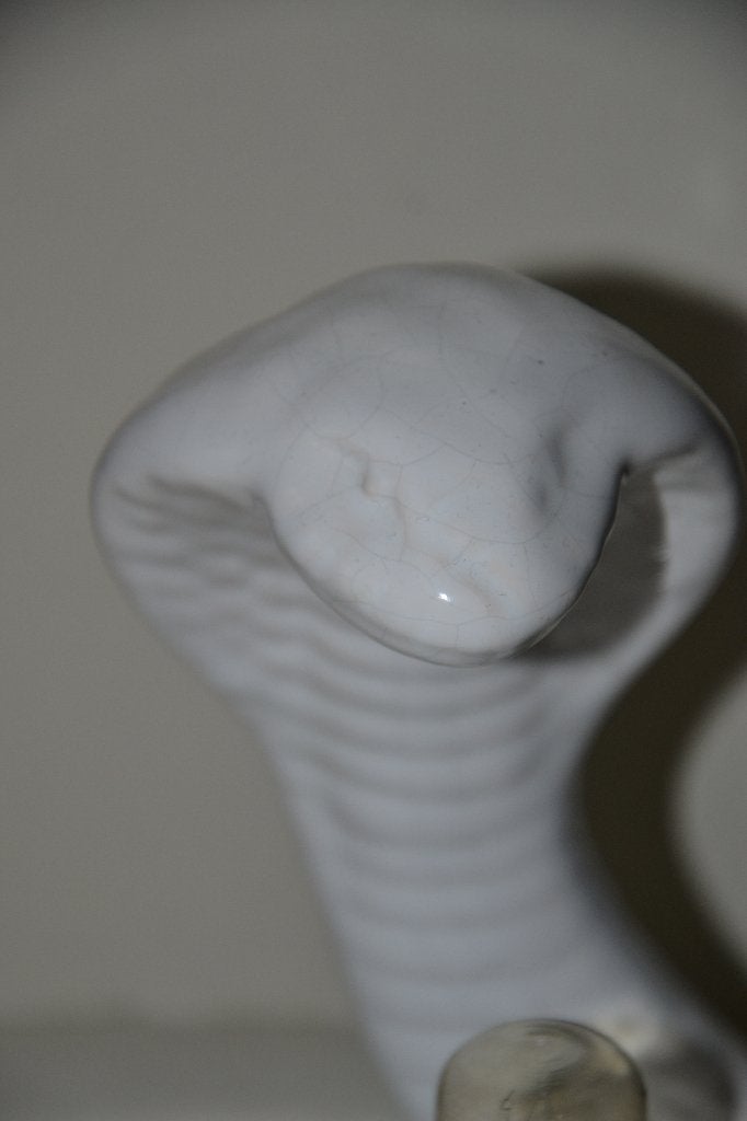 lampe Cobra vintage, Enlèvement