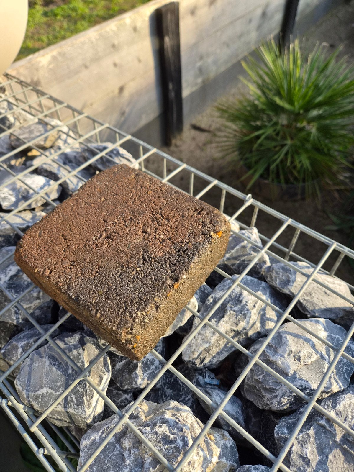 GRATIS terras stenen 14x14x6cm  minstens 40m2, Ophalen