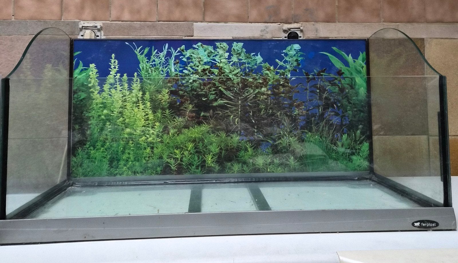 ferplast aquarium, Animaux & Accessoires, Enlèvement, Utilisé, Aquarium vide, Autres marques