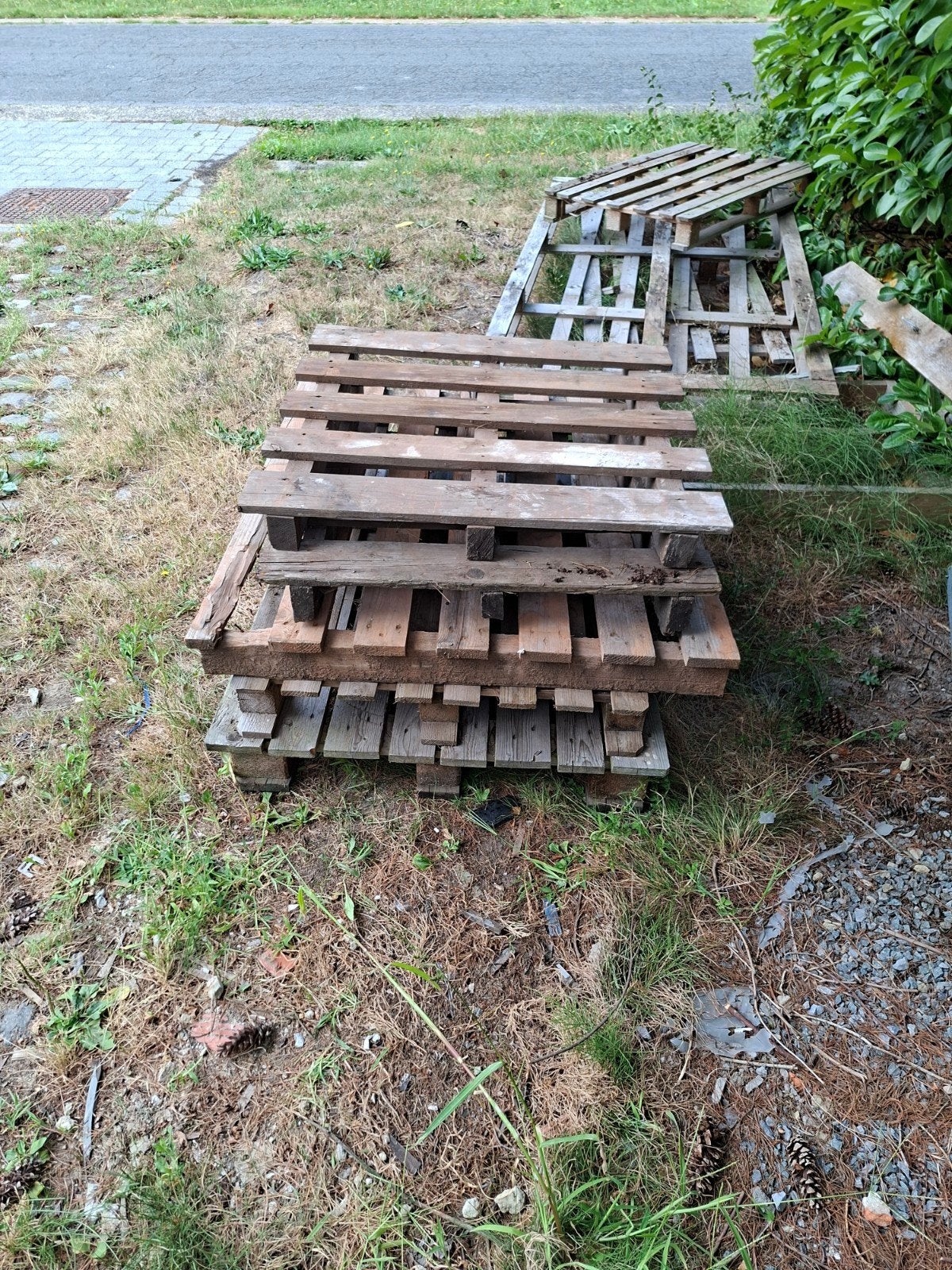 Gratis paletten, Doe-het-zelf en Bouw, Hout en Planken, Ophalen of Verzenden