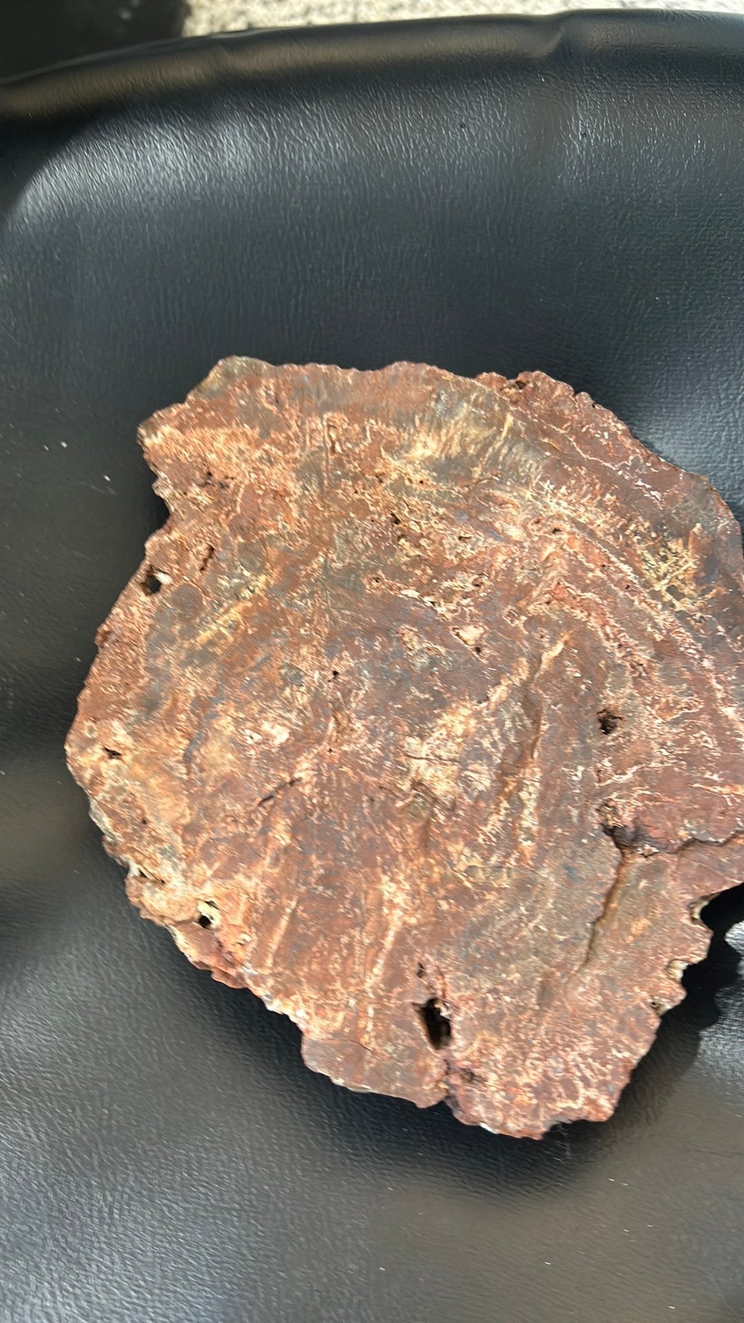 bois pétrifié, un type de fossile couleur fuscia Usa, Enlèvement ou Envoi, Fossile