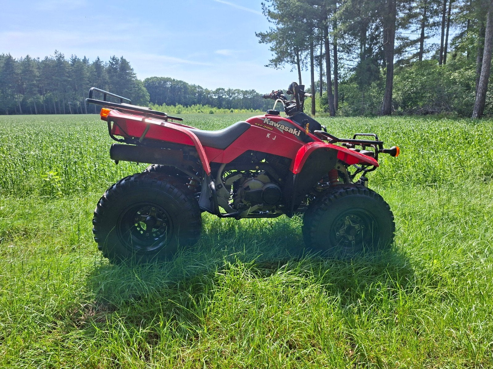 Kawasaki 300cc, Motoren, 300 cc