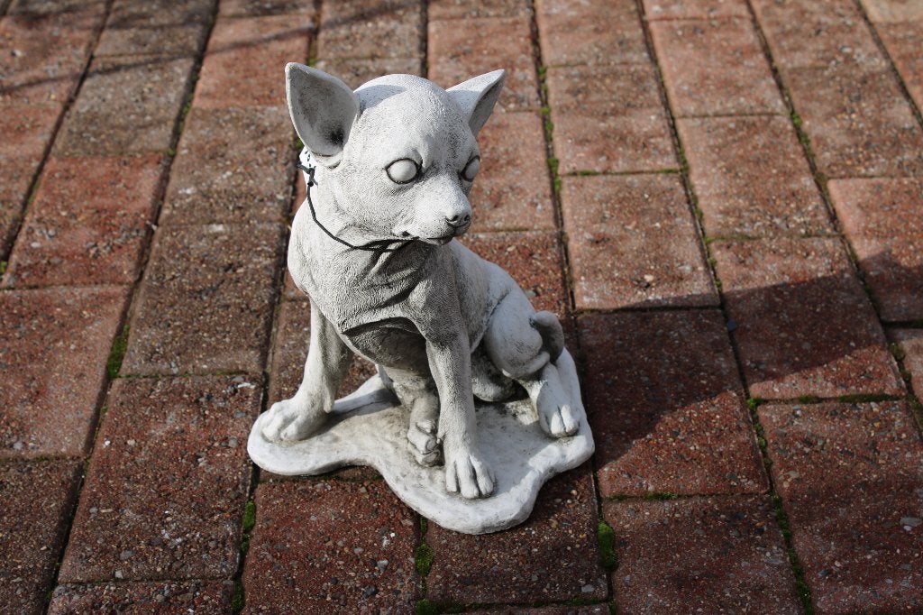 Stenen chihuahua hondenoppas., Ophalen of Verzenden, Nieuw