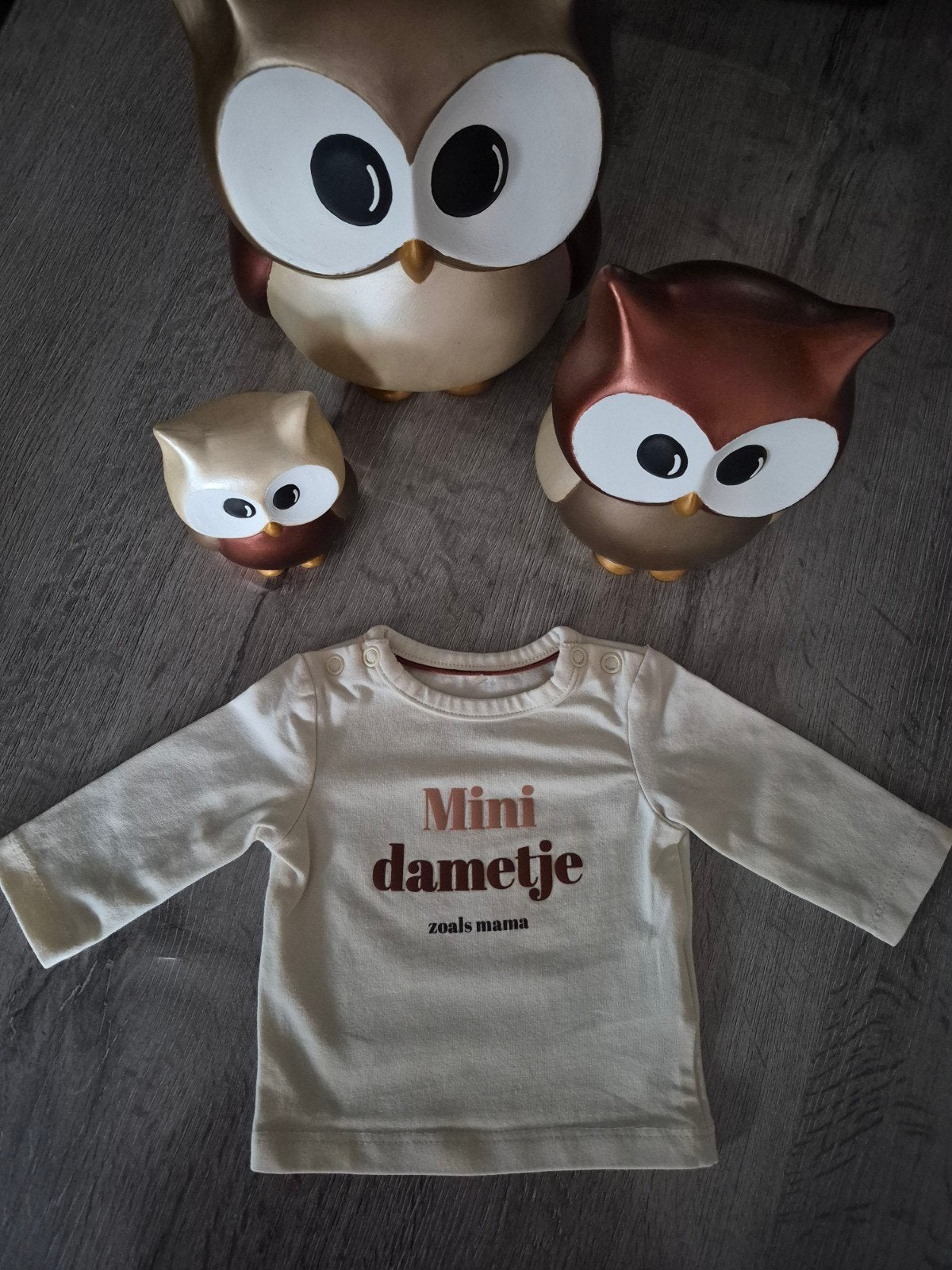 longsleeve/pull/t-shirt JBC Cuddles&Smiles maat 50, Kinderen en Baby's, Ophalen of Verzenden