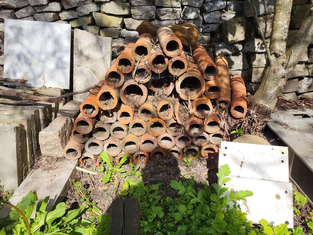 Terracotta buizen, Enlèvement