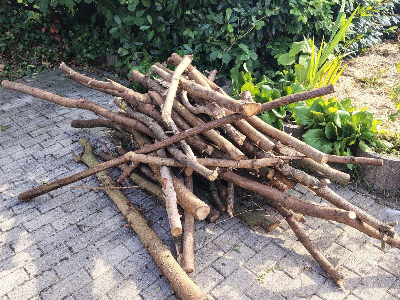Gratis stookhout, Tuin en Terras, Brandhout, Ophalen
