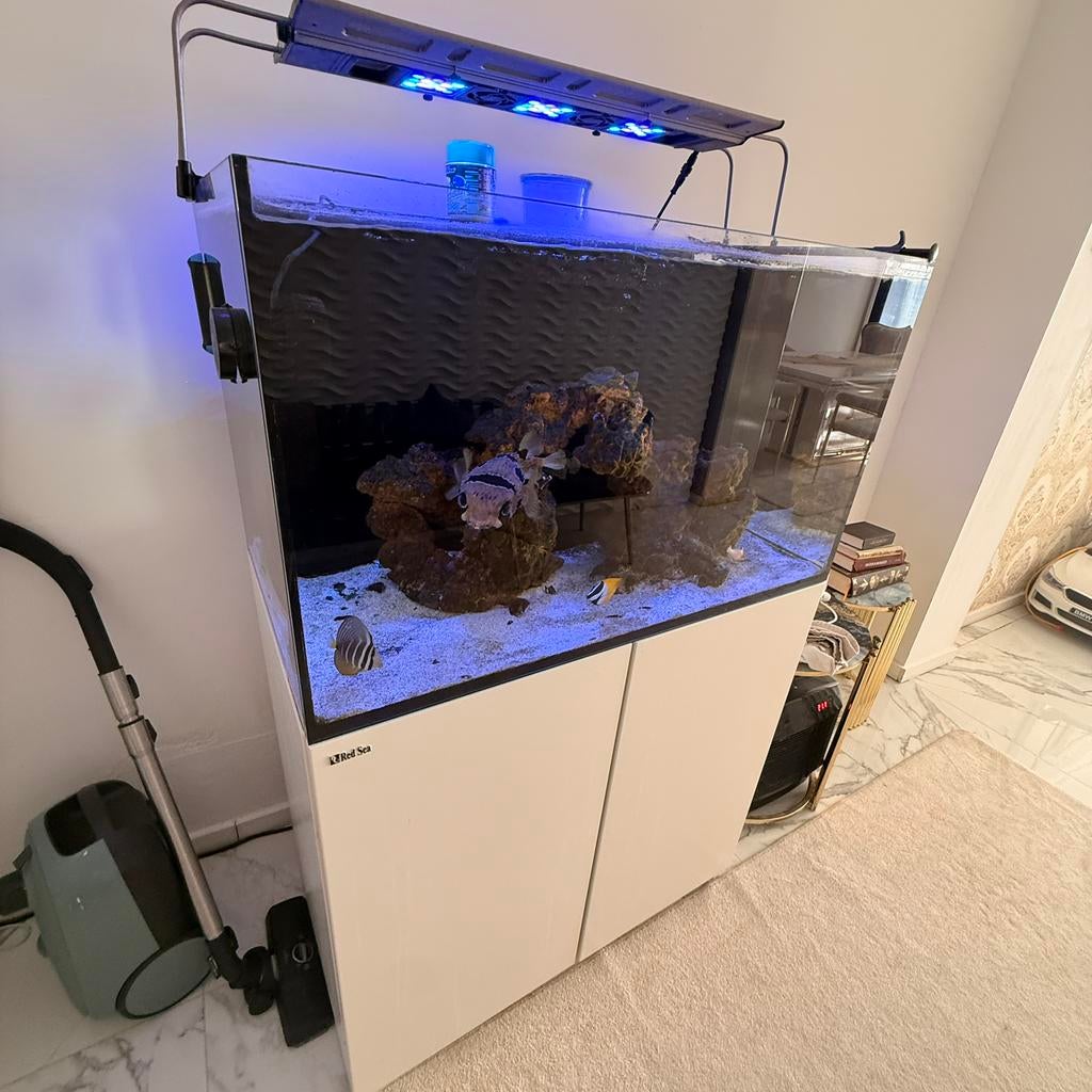 Red aea 250 l, Dieren en Toebehoren, Ophalen of Verzenden, Zo goed als nieuw, Red Sea