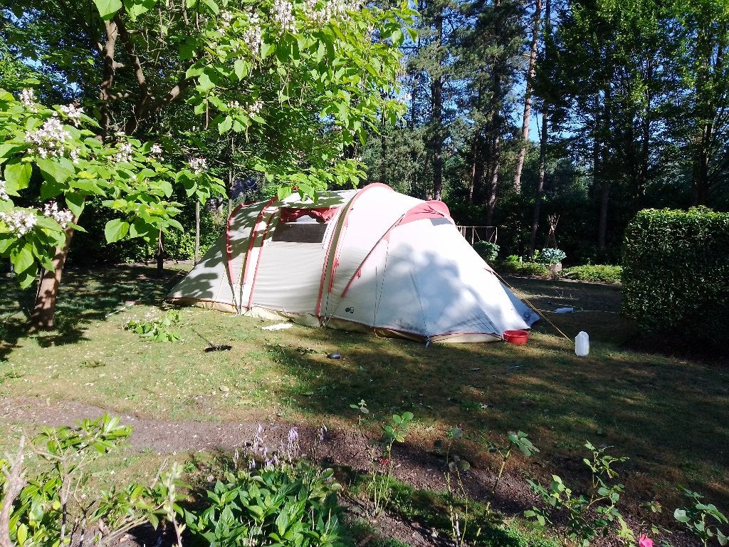 Active Leisure Canyon Tent 6 personen, Enlèvement, Utilisé, Jusqu'à 6