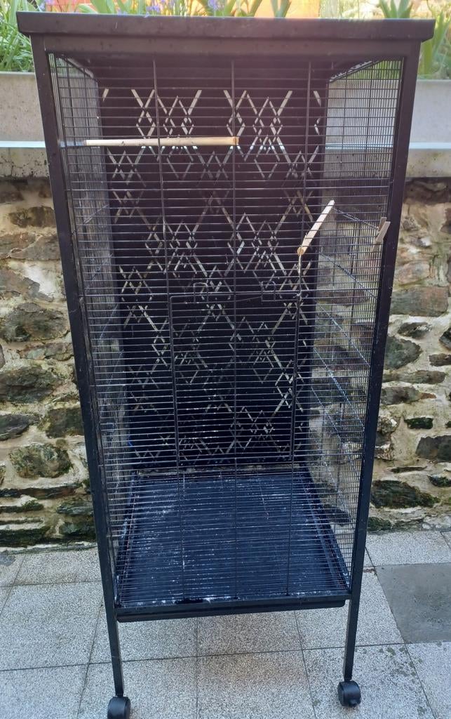 Volière métallique, Utilisé, Métal, Volière