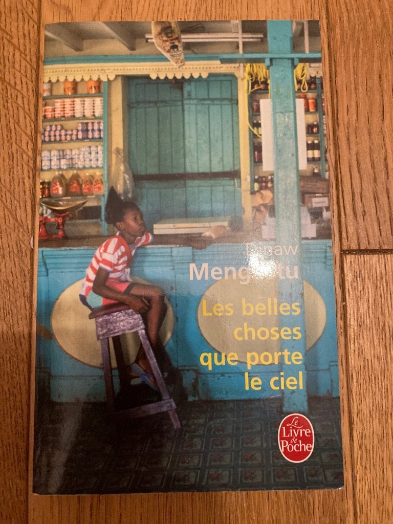 Les belles choses que porte le ciel de Dinaw Mengestu, Enlèvement ou Envoi, Comme neuf