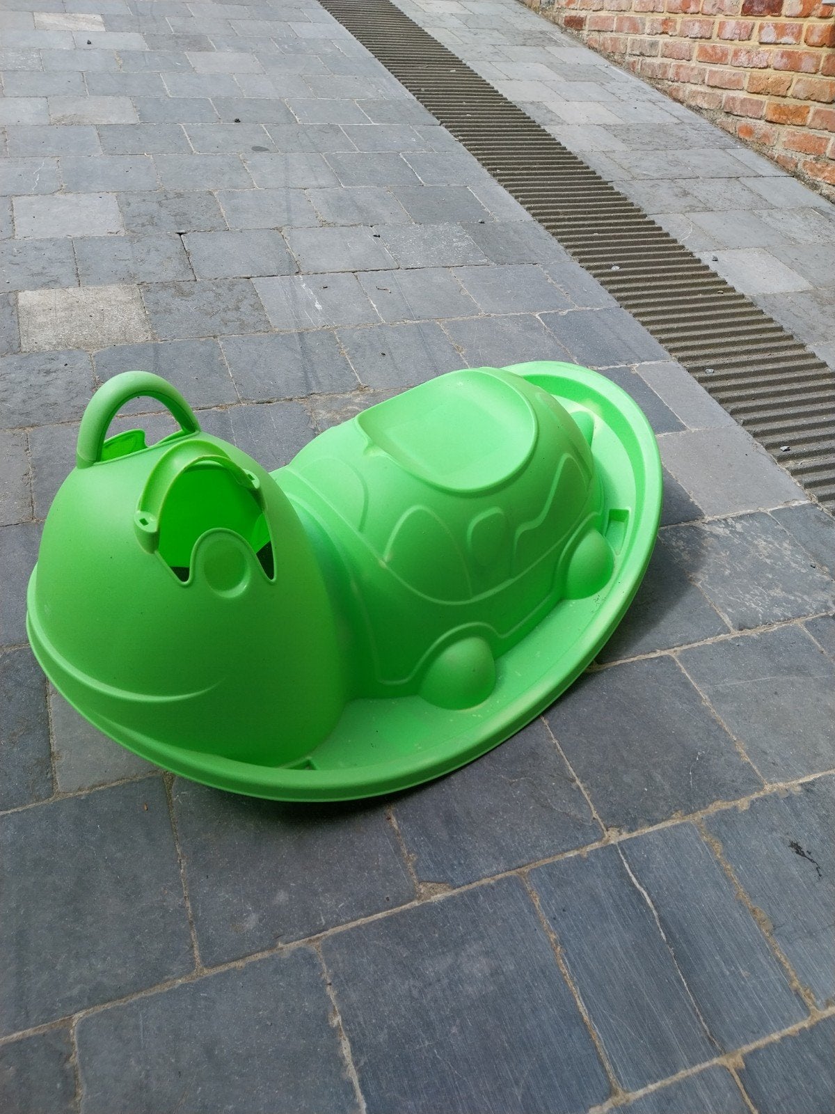schildpad schommeltje, Enlèvement