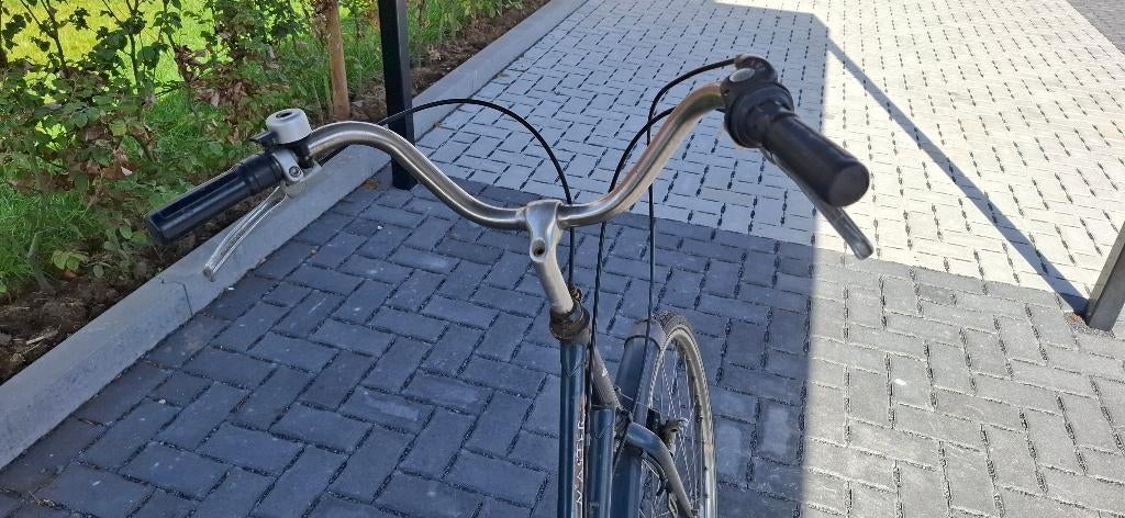 Vélo OXFORD pour femme, Enlèvement, Utilisé, Autres marques, Vitesses