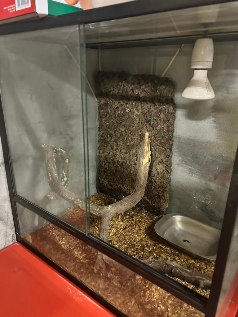 Terrarium, Dieren en Toebehoren, Ophalen, Zo goed als nieuw