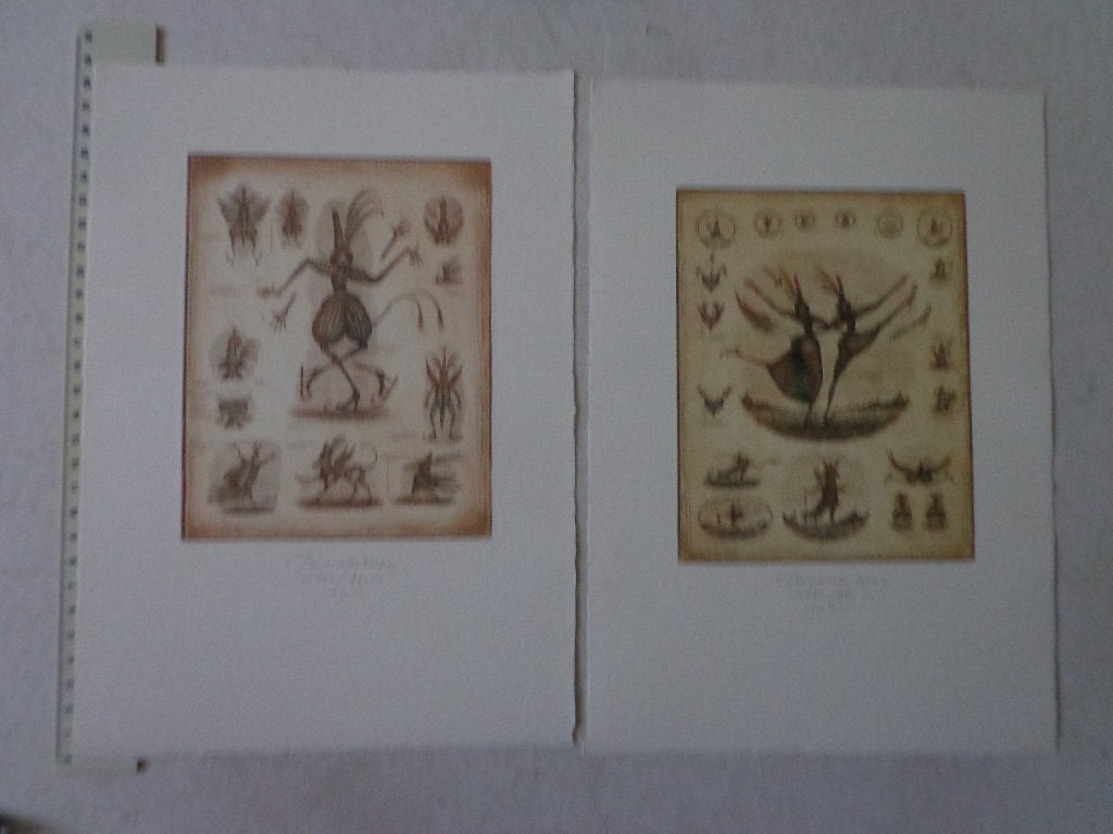2 verfijnde etsen van Sergey Tyukanov uit 2004, Ophalen of Verzenden, Ets, Gesigneerd, 2000 tot heden