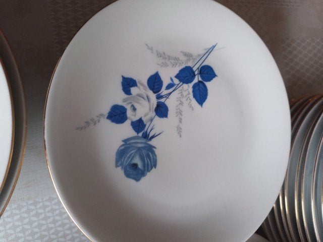 Vintage eetservies, Ophalen of Verzenden, Zo goed als nieuw, Vintage, Compleet servies