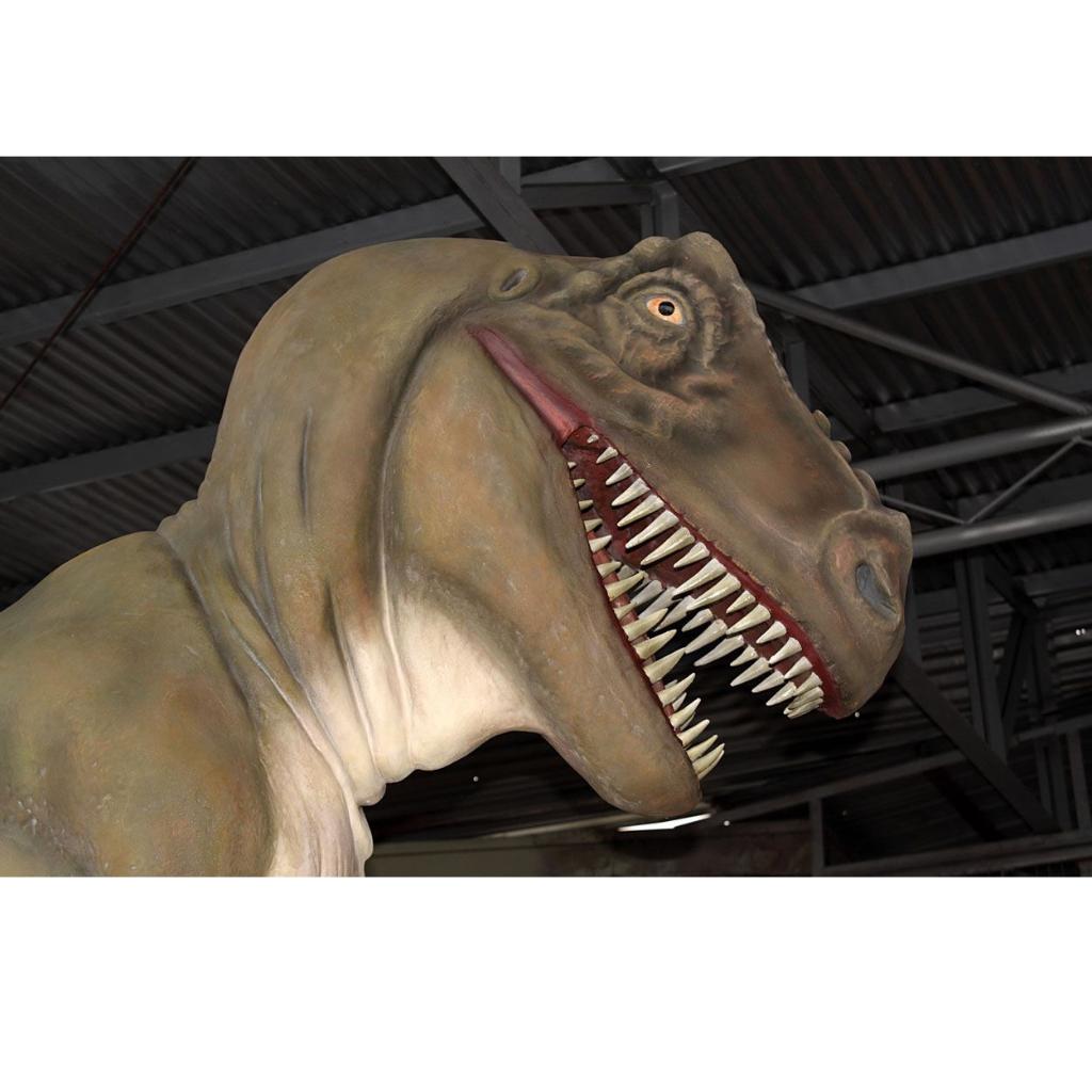 Walking T-Rex – Dinosaurus beeld Lengte 568 cm, Ophalen, Nieuw