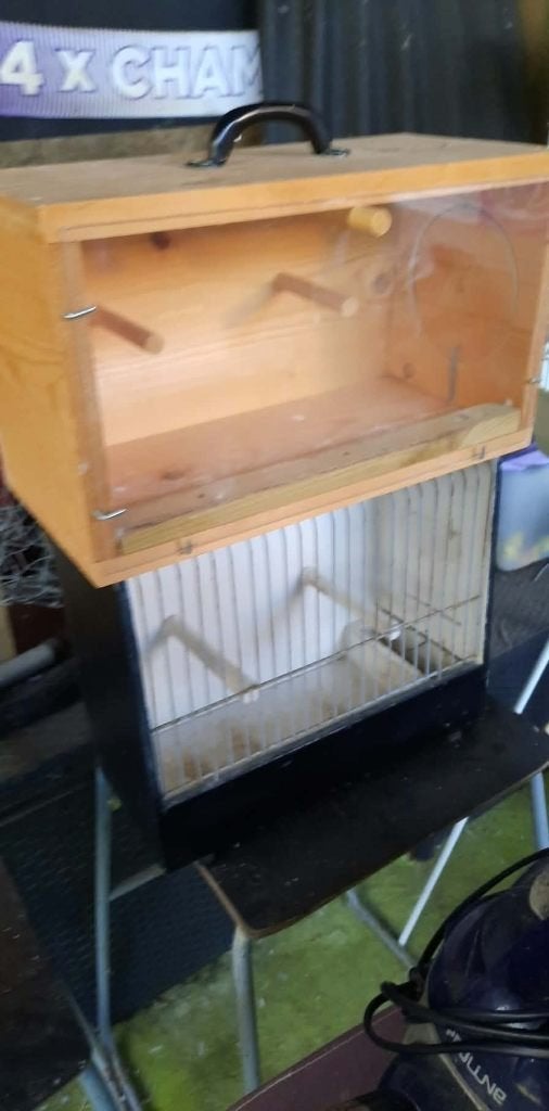 vogels, Dieren en Toebehoren