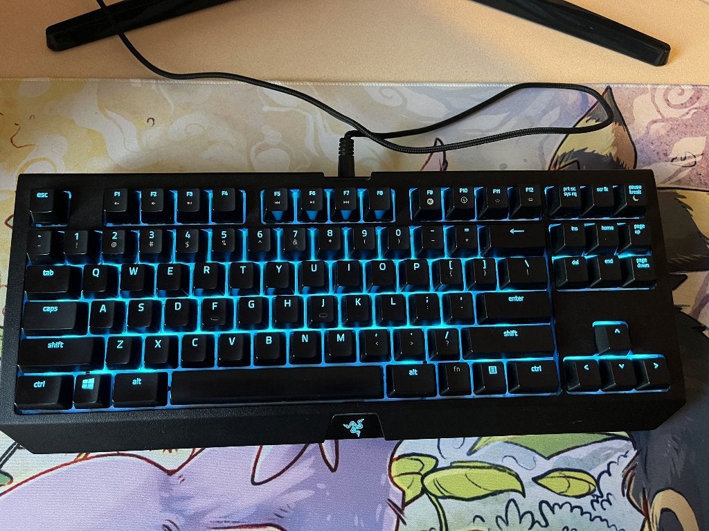 Razer BlackWidow Tournament Edition Chroma V2 QWERTY Orange, Enlèvement, Qwerty, Comme neuf, Filaire