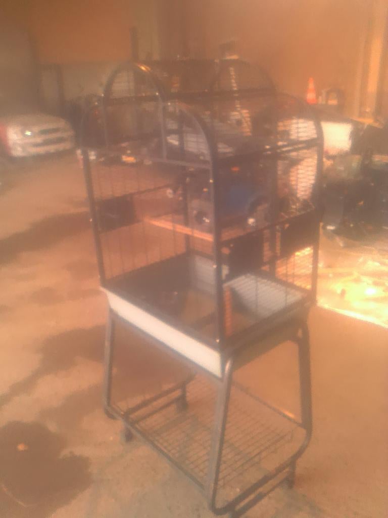 Grande cage à oiseaux sur support à roulettes, Enlèvement, Utilisé, Métal, Cage à oiseaux