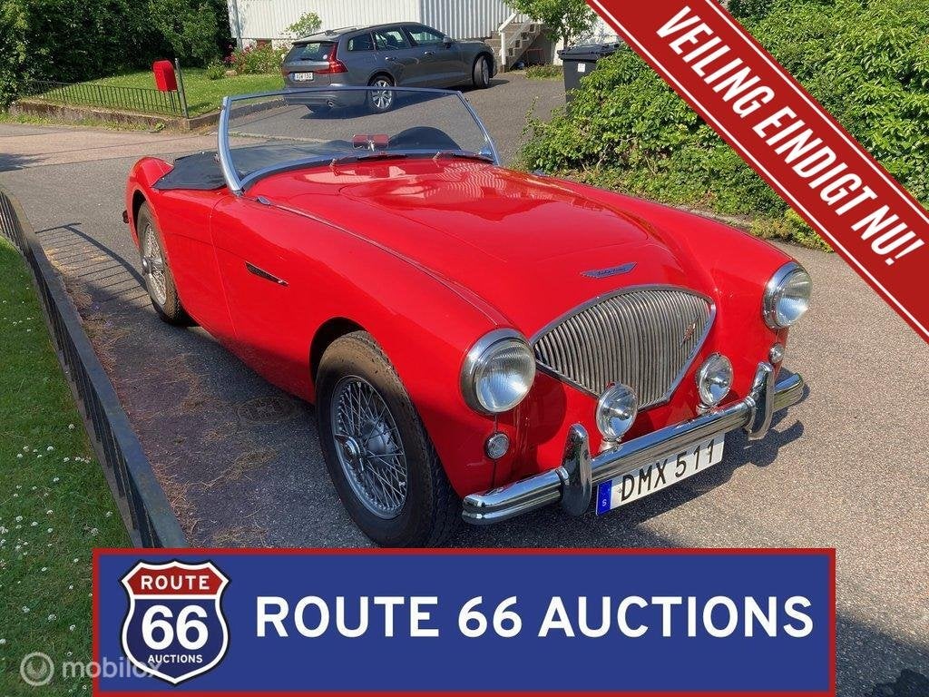 Austin-Healey 100/4 BN1 | 1954 | Route 66 Auctions, Autos, Oldtimers & Ancêtres, Entreprise, Boîte manuelle, Autre carrosserie