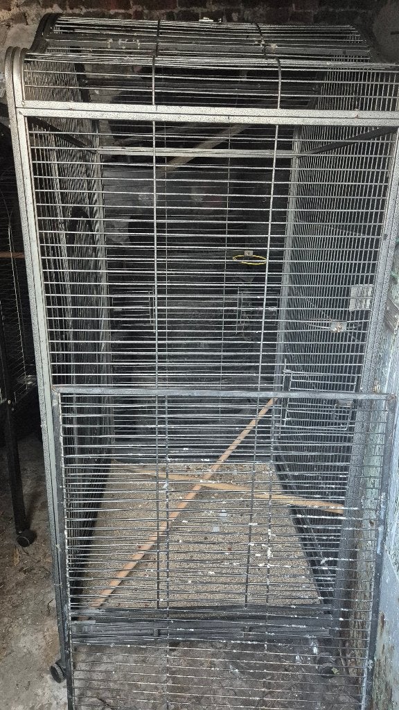 Cage perroquet, Animaux & Accessoires, Enlèvement, Utilisé, Cage à oiseaux