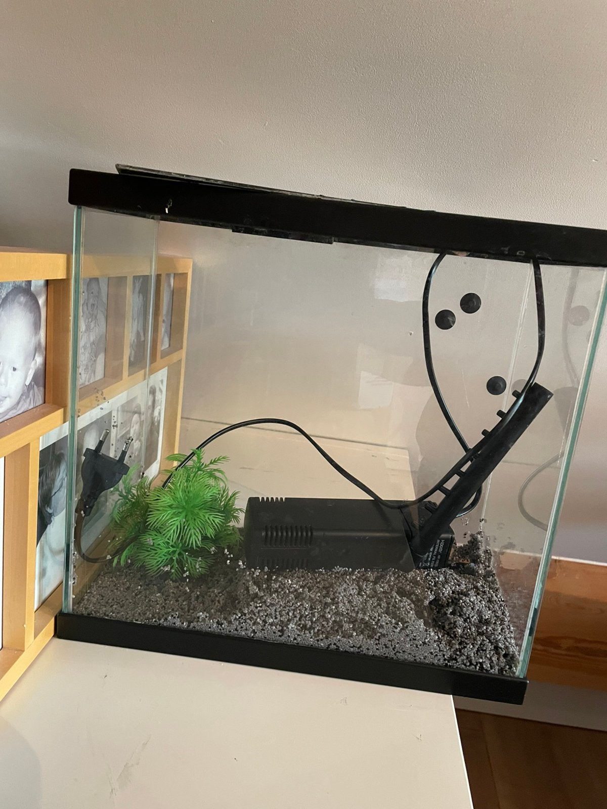 Aquarium, Dieren en Toebehoren, Ophalen, Gebruikt