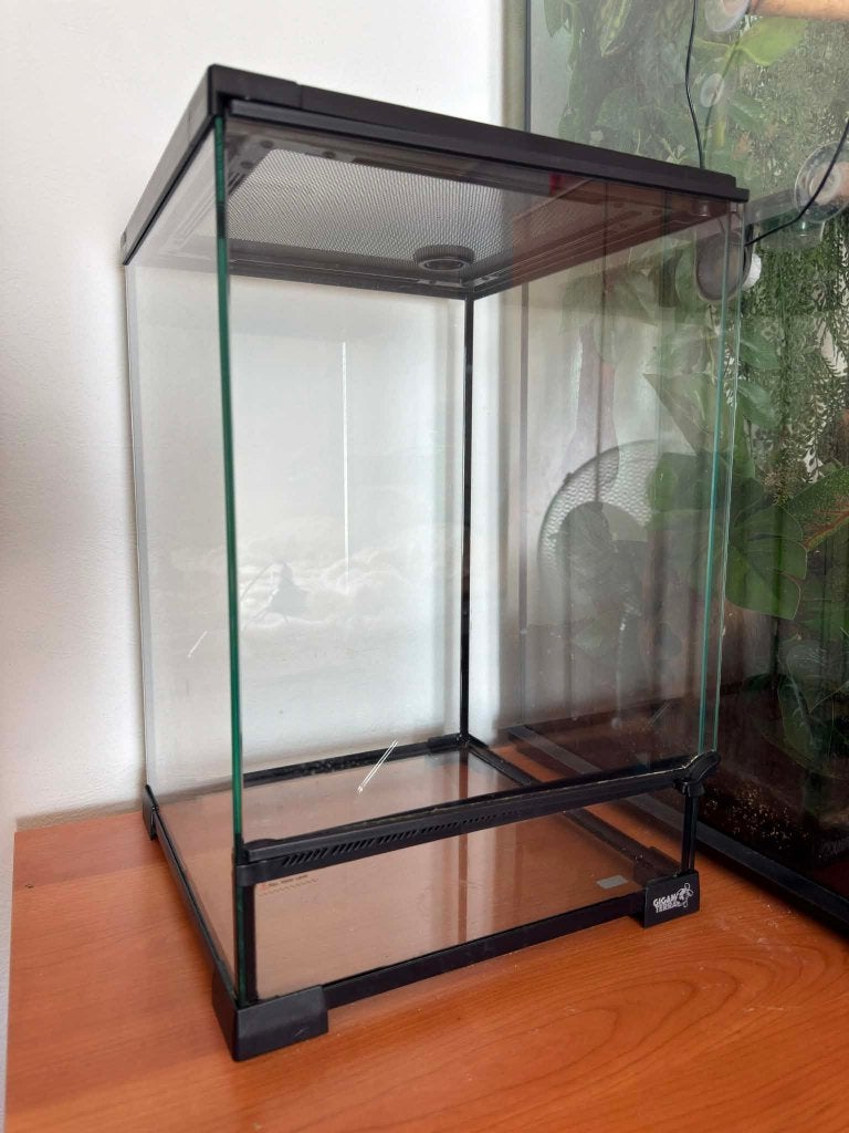 terrarium giganterra 30x30x45, Dieren en Toebehoren, Ophalen, Nieuw, Terrarium of Paludarium