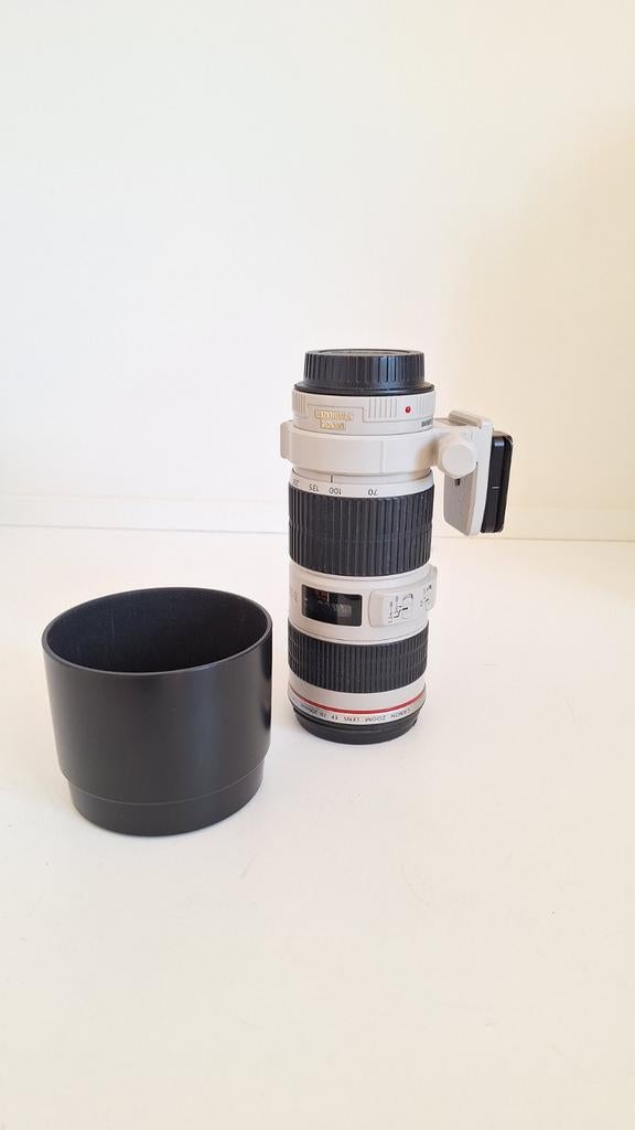 Canon 70-200 f4is, Enlèvement