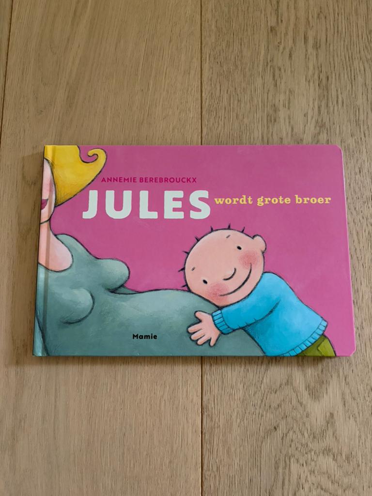 Jules wordt grote broer, Boeken, Kinderboeken | Baby's en Peuters, Ophalen of Verzenden, Zo goed als nieuw, 2 tot 3 jaar