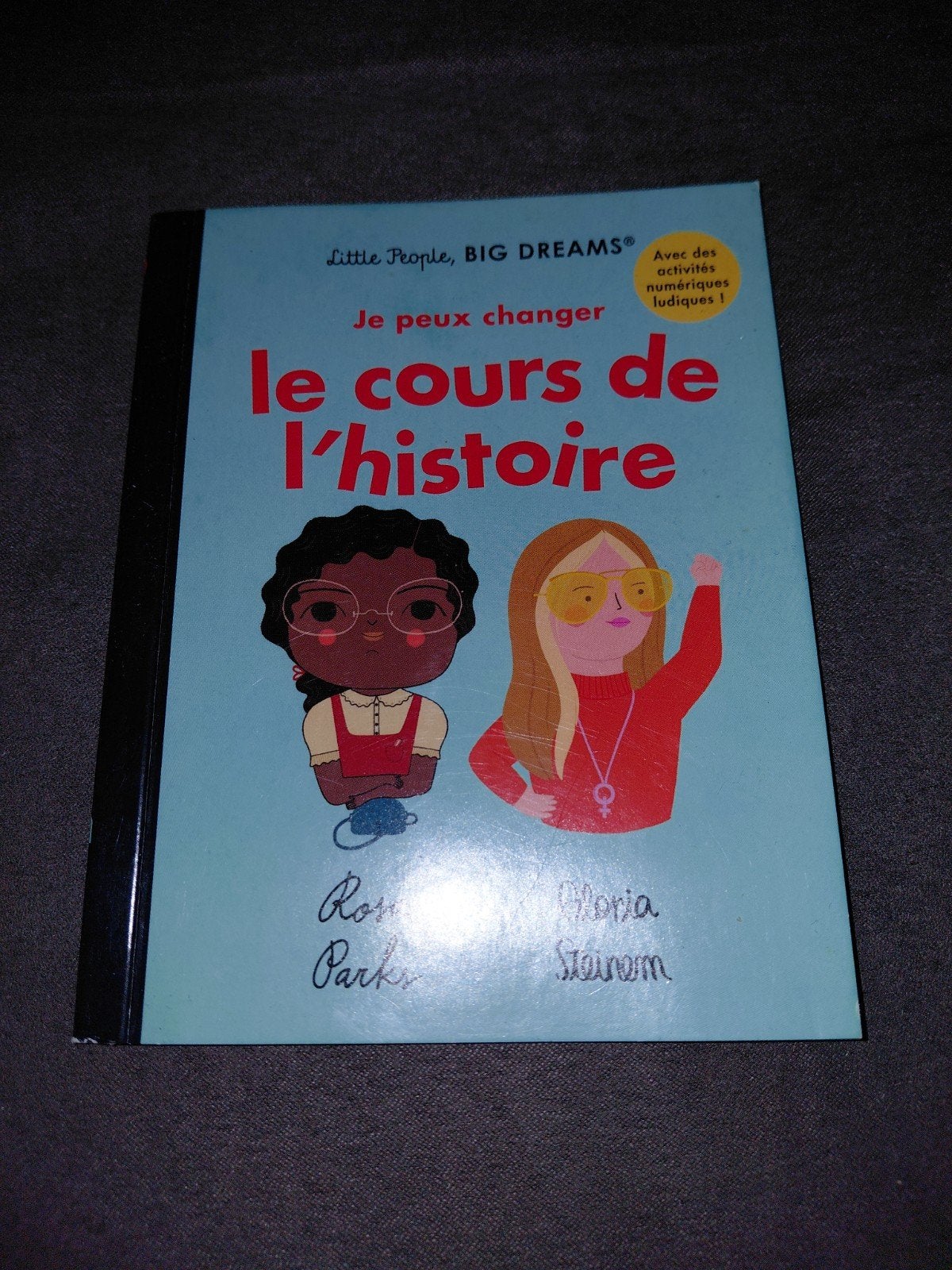 livre le cours de l'histoire, Enlèvement