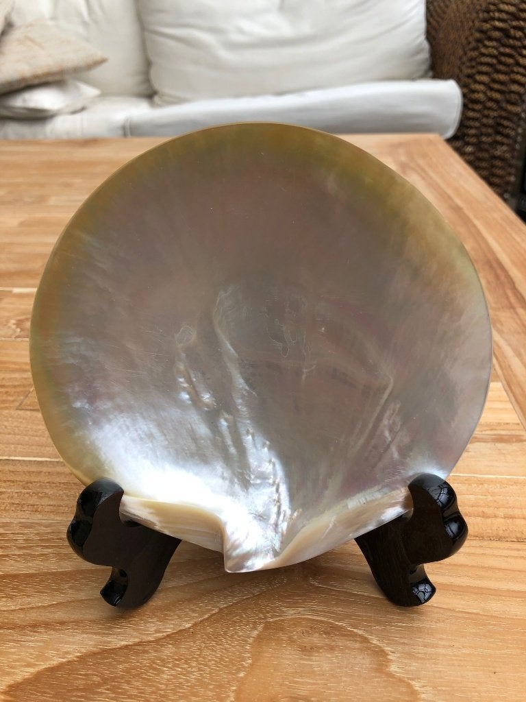 Zeeschelp | Mother of Pearl Shell | Filipijnen | Nieuw, Ophalen of Verzenden, Nieuw, Overige materialen