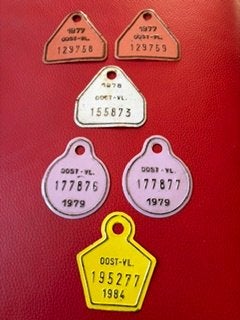 Vintage fietsplaatjes Oost‑Vl – jaren ’70 & ’80 – 6 stuks, Ophalen