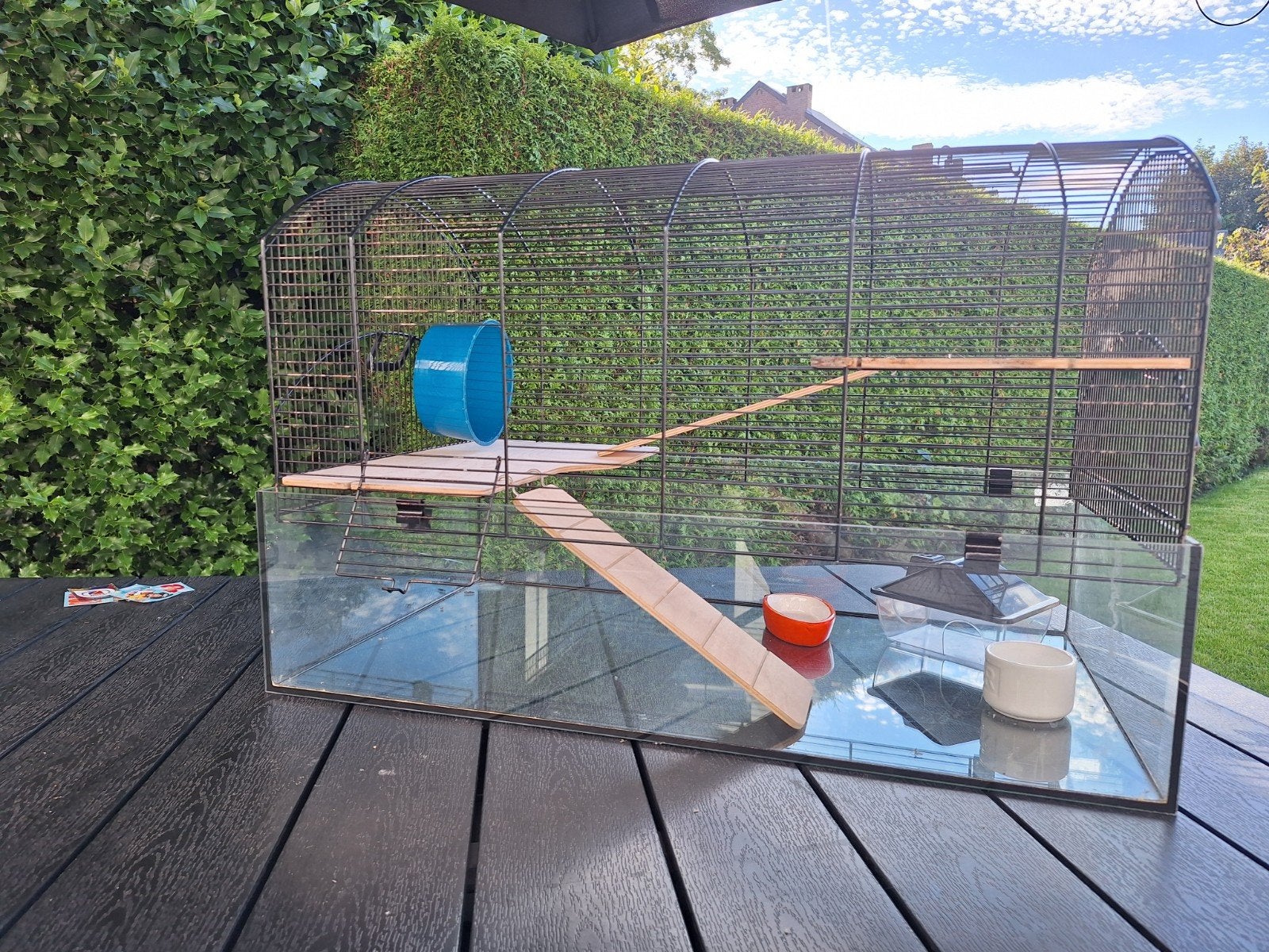 Cage pour petit rongeurs + accésoires (L70l40h45), Cage