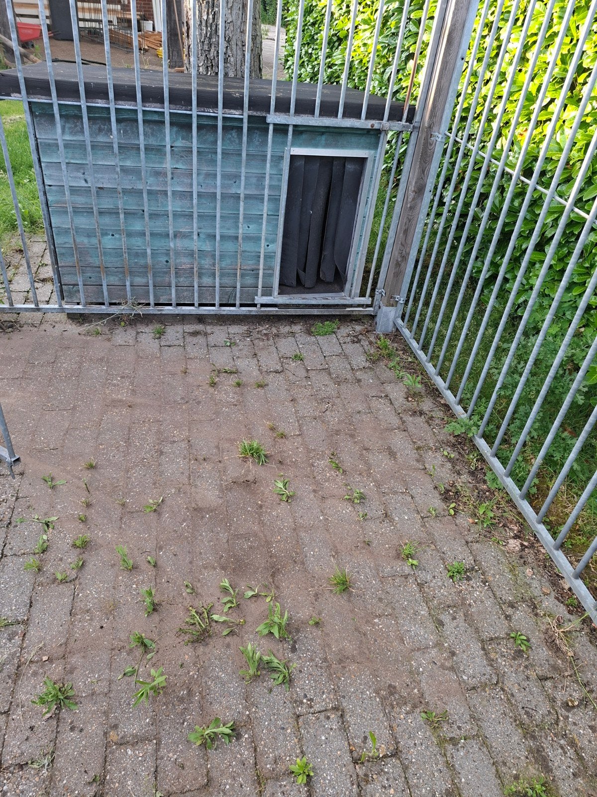 Hondenhok, Tuin en Terras, Ophalen, Met poort, Gebruikt, Enkelstaafmat hekwerk