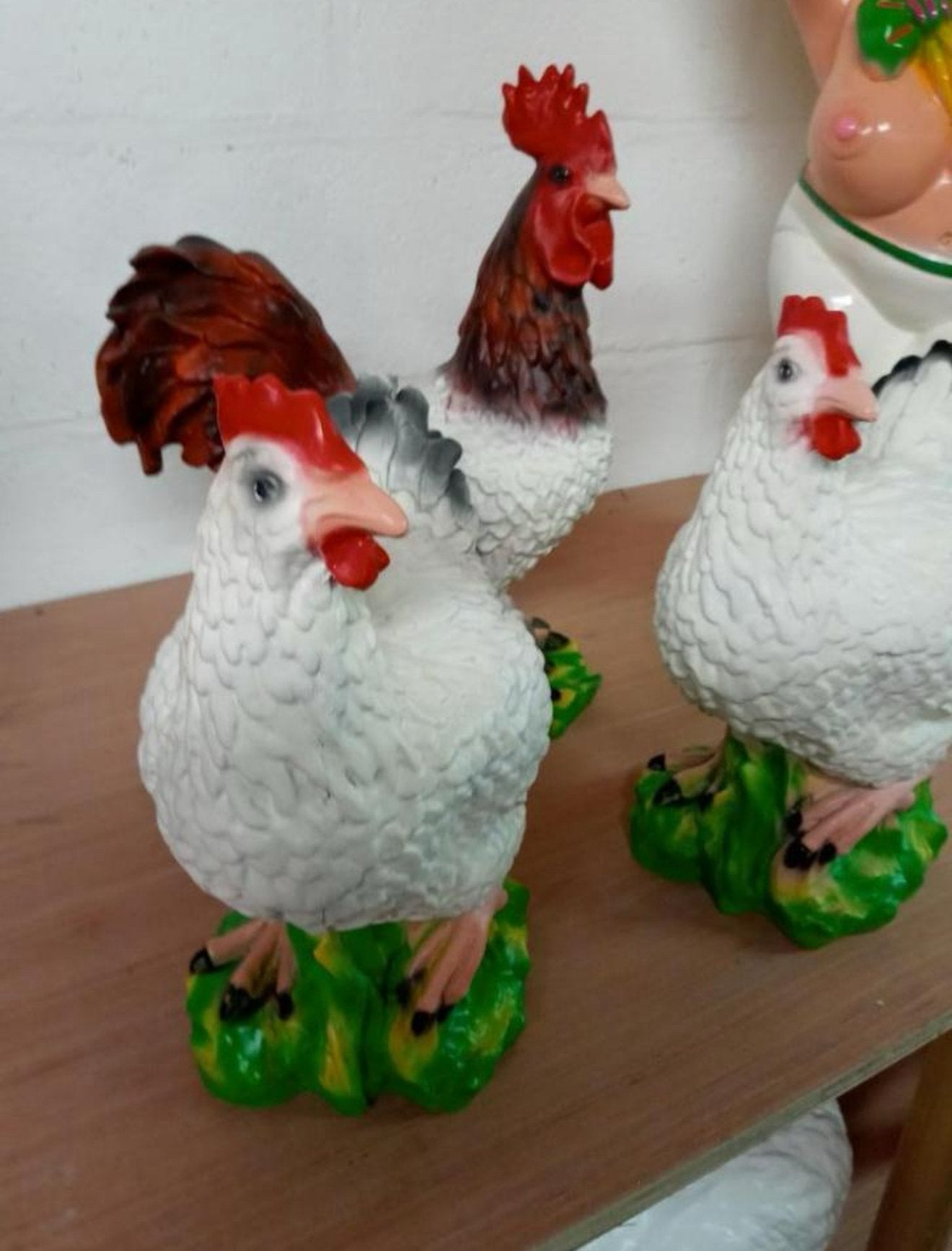 Kipjes en haan