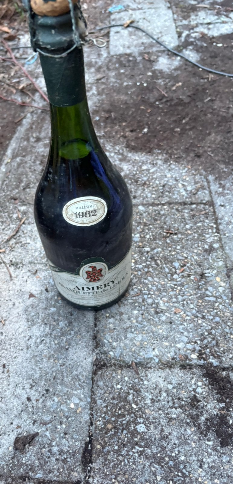 Aimery 1982 Vintage, Collections, Vins, Enlèvement, Comme neuf